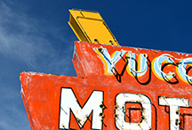 DSC_3280-moo-vaughn-nm