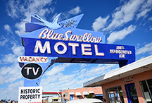 DSC_4714-moo-card-tucumcari-nm1